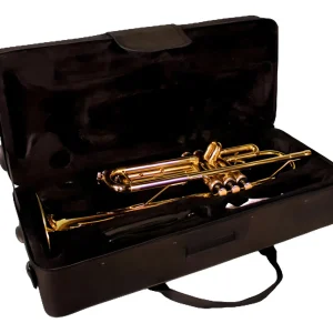 Alternative view of Trompeta Dorada