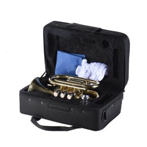 Alternative view of Trompeta Pocket